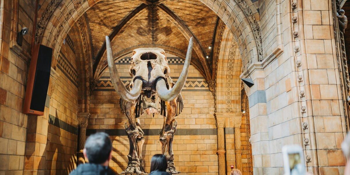 Museo de Historia Natural de Londres Museo de Historia Natural de Londres