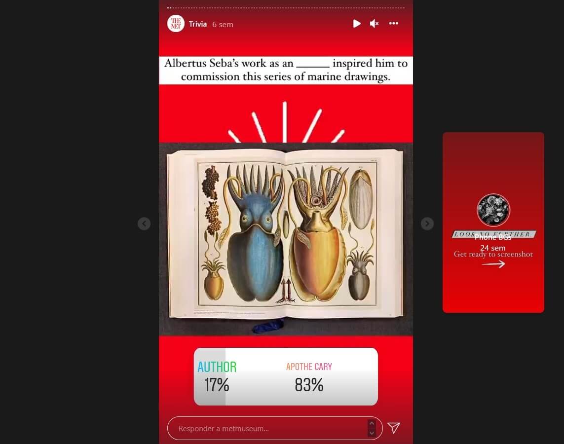 Museos y redes sociales: MET Museum