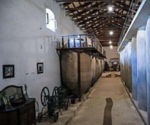 Curso Gestión de Patrimonio Bibliográfico y Documental